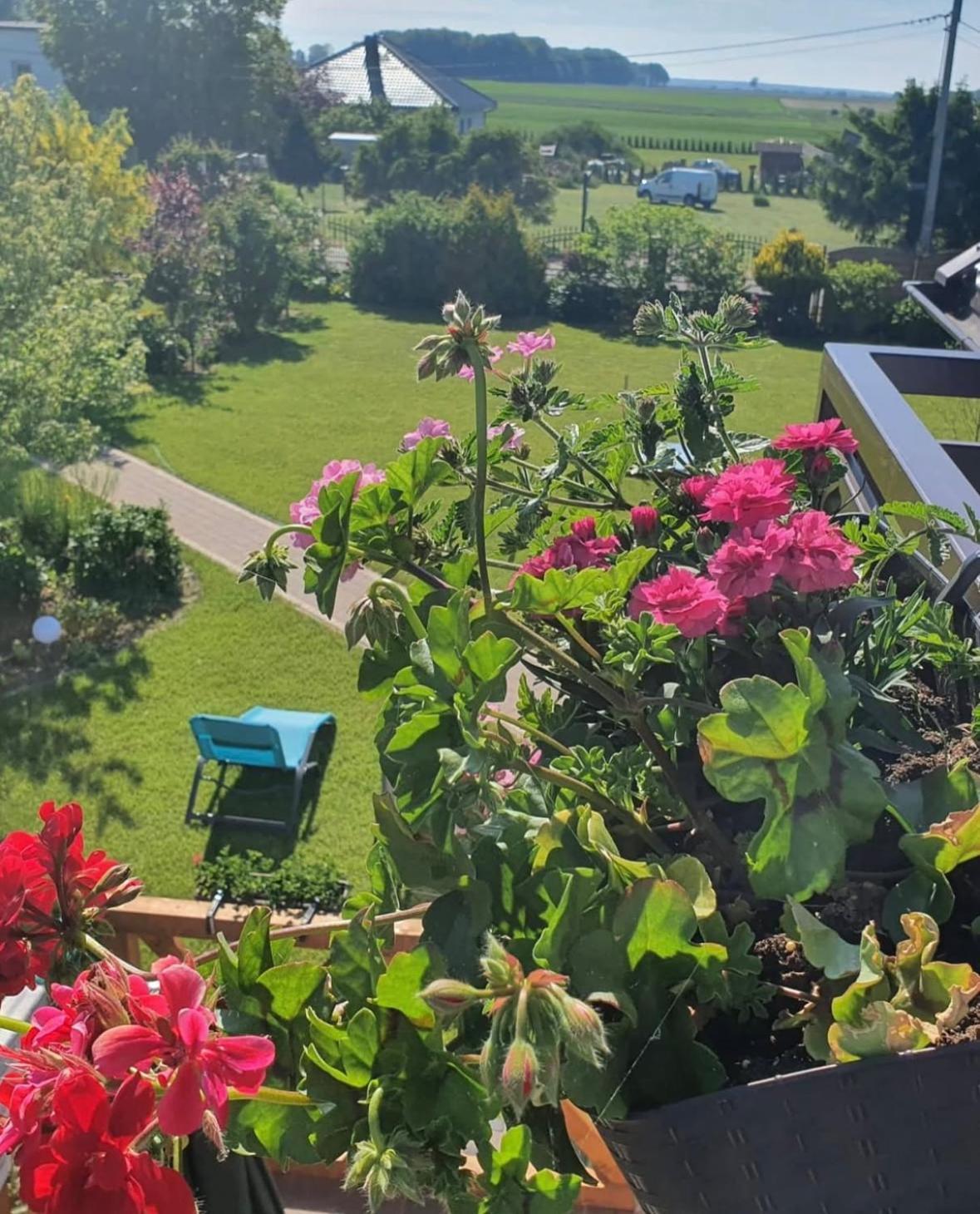 Apartamenty Na Baltyckiej Choczewo Buitenkant foto